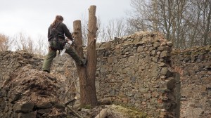 19 Dokončení vyřezání náletových dřevin ve farním areálu ve Svatoboru       
